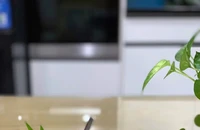 5 thức uống giải khát giúp cơ thể tràn đầy năng lượng khi nhịn ăn