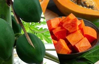 Người bệnh tiểu đường nên ăn đu đủ xanh hay chín để kiểm soát đường huyết?