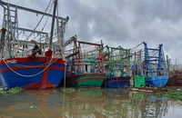 Hải Phòng: Sẵn sàng thực hiện các phương án phòng, tránh bão số 3