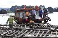 Quảng Ninh: Khai trừ ra khỏi Đảng 4 cán bộ nhận hối lộ