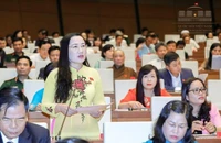 'Thông qua 'cò' là có hồ sơ thương binh giả'