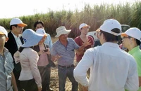 Doanh nhân Việt đầu tư ra nước ngoài: Khó ở đâu? 