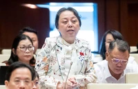 Bà Phạm Khánh Phong Lan: 'Tôi rất bức xúc, rốt cuộc chúng ta muốn cái gì?'