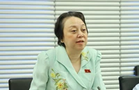 'Gần đến đại hội, chả bới móc được gì thì lôi chuyện sinh con thứ 3'