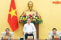 Chủ tịch Quốc hội: ‘Phải thông qua được Luật Đất đai, Luật Quy hoạch để gỡ vướng’