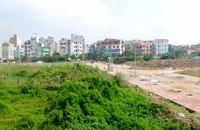 Mới: Miễn, giảm tiền sử dụng đất trong trường hợp đấu giá