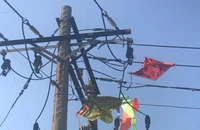 Lý do không ngờ gây mất điện trên diện rộng 