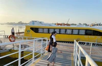 TP.HCM: Ngày mai buýt sông số 1 sẽ hoạt động trở lại