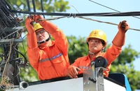EVNHCMC tăng cường kiểm tra, rà soát các công trình điện trong mùa mưa bão