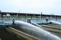 SAWACO cấp định mức nước sinh hoạt thông qua VneID