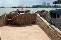 Bắt quả tang 2 ghe gỗ khai thác cát trái phép ở Nhà Bè, TP.HCM