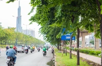 Hàng loạt biển báo ở TP.HCM bị che khuất, đánh đố người nhìn