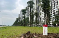 TP.HCM muốn làm nhiều dự án trọng điểm nhanh như vành đai 3 