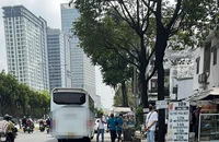 Các quận, huyện ở TP.HCM chịu trách nhiệm nếu xảy ra 'xe dù, bến cóc'