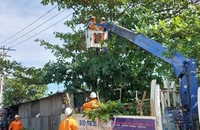 Điện lực TP.HCM đảm bảo cung cấp điện trong tết Nguyên đán 2023