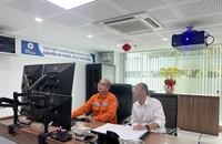 Điện lực TP.HCM triển khai nhiều công tác trong ngày đầu năm mới
