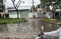 Đường Trần Văn Giàu, huyện Bình Chánh bị ngập sau cơn mưa lớn