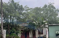 Một công ty đồng ý bàn giao 14 ha cho dự án vành đai 3