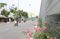 Hàng loạt dạ cầu ở TP.HCM có diện mạo mới