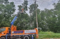 EVNHCMC đảm bảo cung cấp điện dịp 2-9