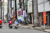 Tháo một số thảm cỏ xanh bọc cột điện, cột đèn ở quận 5, TP.HCM