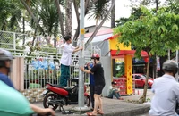 Quận 5 đang tháo dỡ thảm cỏ ốp quanh cột đèn, cột điện