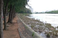 Bình Chánh đề xuất mở phố đêm Trung Sơn