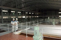 Lịch cúp nước sinh hoạt vào cuối tuần này tại TP.HCM