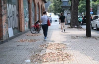 Vỉa hè ở quận 1, TP.HCM trước ngày sửa chữa, nâng cấp