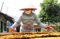 Làng nhang Lê Minh Xuân rực rỡ sắc màu, tất bật vào vụ Tết