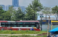 17 đơn vị vận tải ở TP.HCM bị thu hồi giấy phép kinh doanh vận tải bằng xe ô tô