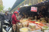 TP.HCM sẽ có phố đêm Chợ Lớn, quận 6