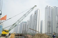 Vành đai 3 TP.HCM gặp khó khăn về cát đắp nền đường