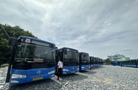 Ngày mai, TP.HCM thay mới ô tô 16 tuyến xe buýt