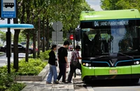 Đến năm 2030: TP.HCM sẽ sử dụng xe buýt điện, năng lượng xanh