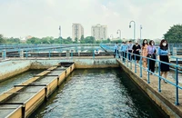 Ngành nước TP.HCM đảm bảo cung ứng nước sạch cho 11 triệu dân