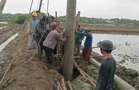 Nhiều hộ dân xã đảo Thạnh An, Cần Giờ vui mừng được hòa lưới điện quốc gia