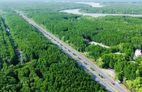 Vingroup đề xuất được đầu tư tuyến đường sắt kết nối trung tâm TP.HCM - Cần Giờ