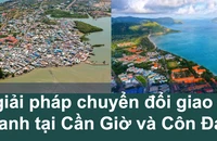 Chi tiết 6 tuyến xe buýt điện mới sẽ hoạt động ở đặc khu Côn Đảo
