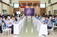 Điện lực TP.HCM: Tháo gỡ vướng mắc, siết chặt kỷ cương, tăng tốc tiến độ đầu tư