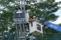 EVNHCMC chủ động đảm bảo an toàn điện trong thời tiết cực đoan