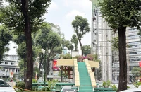 Xuyên trưa tô điểm cho hồ Con Rùa ở TP.HCM