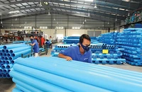 Tỉ phú Thái thâu tóm, đưa 3 người vào Nhựa Bình Minh