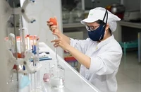 Vinasoy lên tiếng về lô sản phẩm sữa đậu nành thu hồi ở Nhật Bản