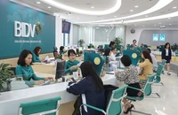 Đừng để lãng phí dòng vốn giá rẻ