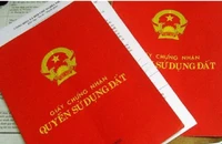 Hủy hai bản án vụ tranh chấp quyền sử dụng đất