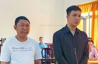 Đánh người chấn thương sọ não khi chở cha đi mua hải sản