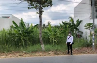 Tòa buộc văn phòng công chứng bồi thường cho người mất đất