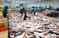 Nhóm hàng nông sản nào xuất khẩu chủ lực trong tháng đầu năm?