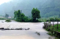 Mưa lớn gây ngập lụt cục bộ nhiều nơi ở Thanh Hóa